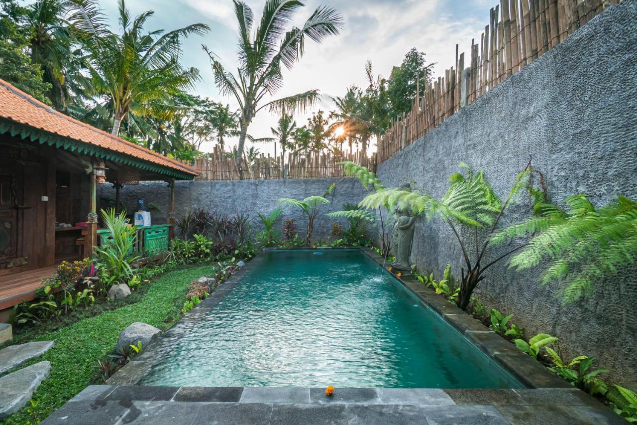 The Forest Batu Kurung Ubud Exteriör bild