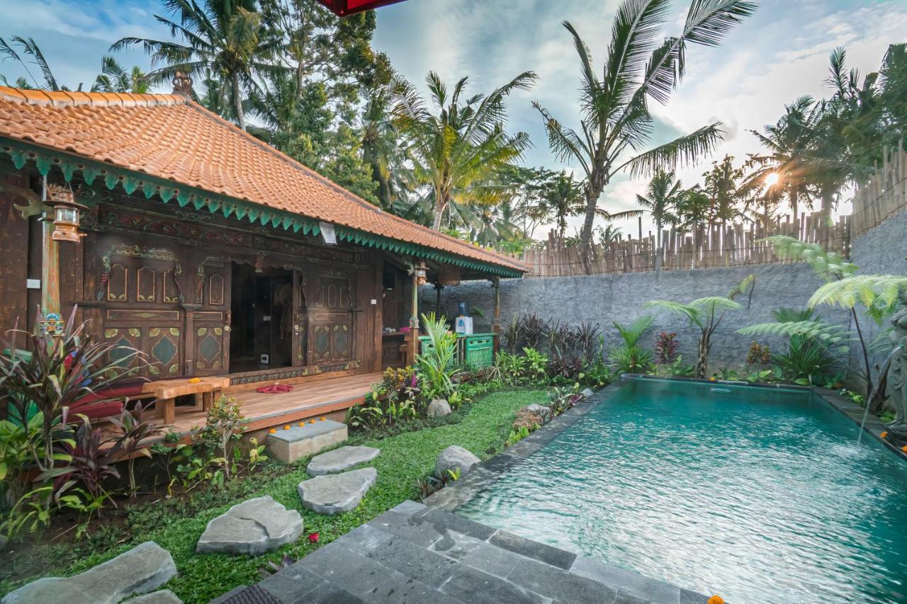 The Forest Batu Kurung Ubud Exteriör bild